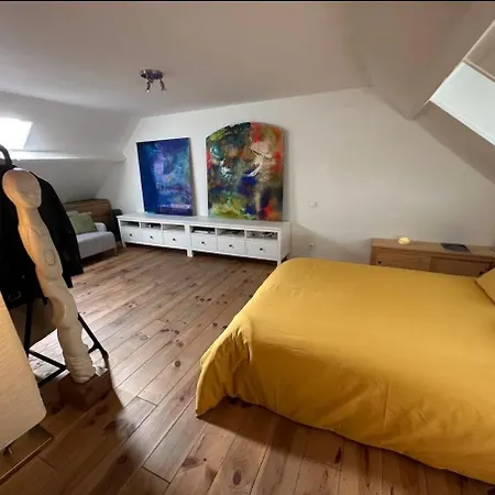 Daire Loft A 250m De La Parking Prive